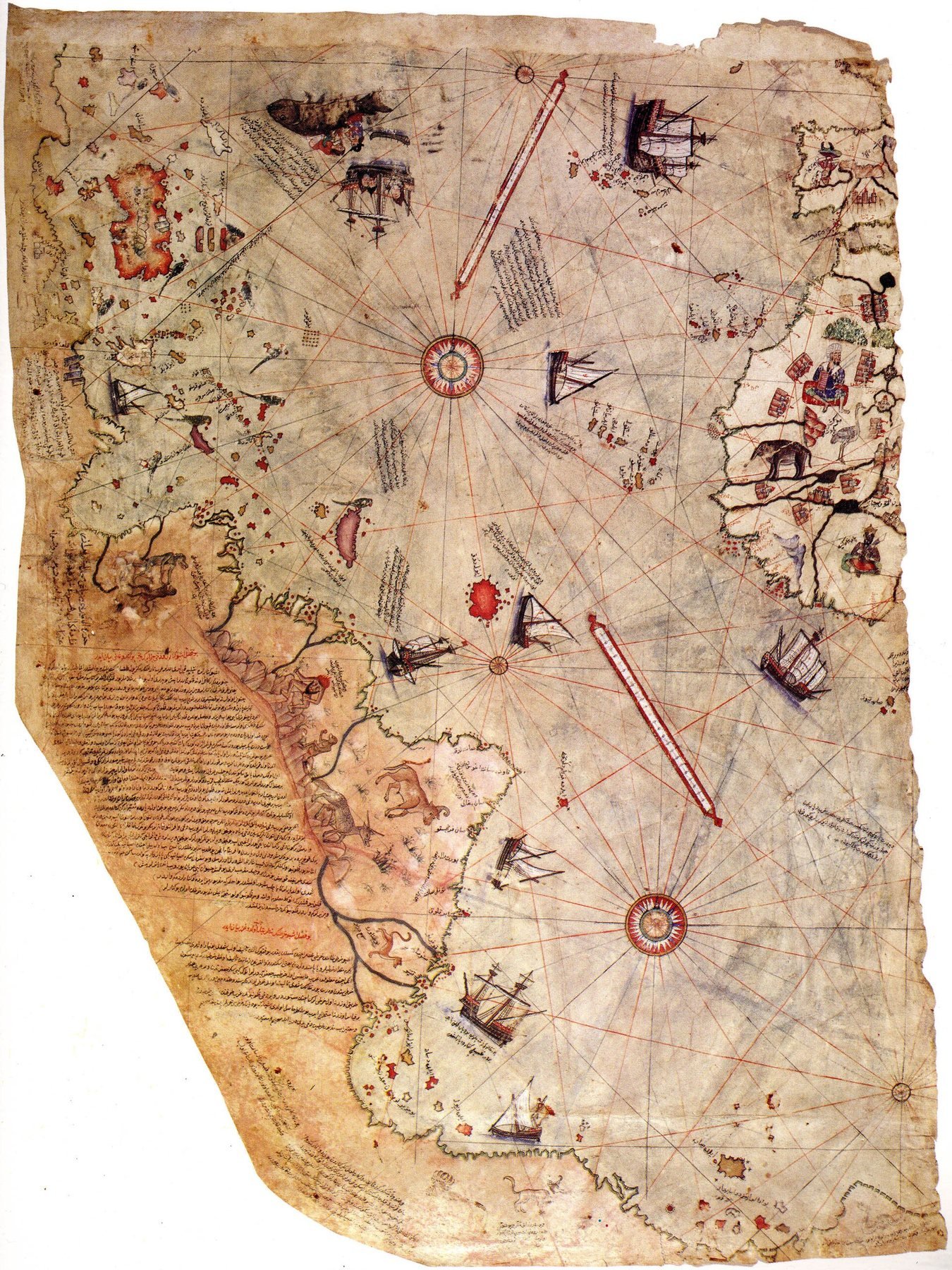 Surviving fragment of the 1513 Piri Reis world map on gazelle skin