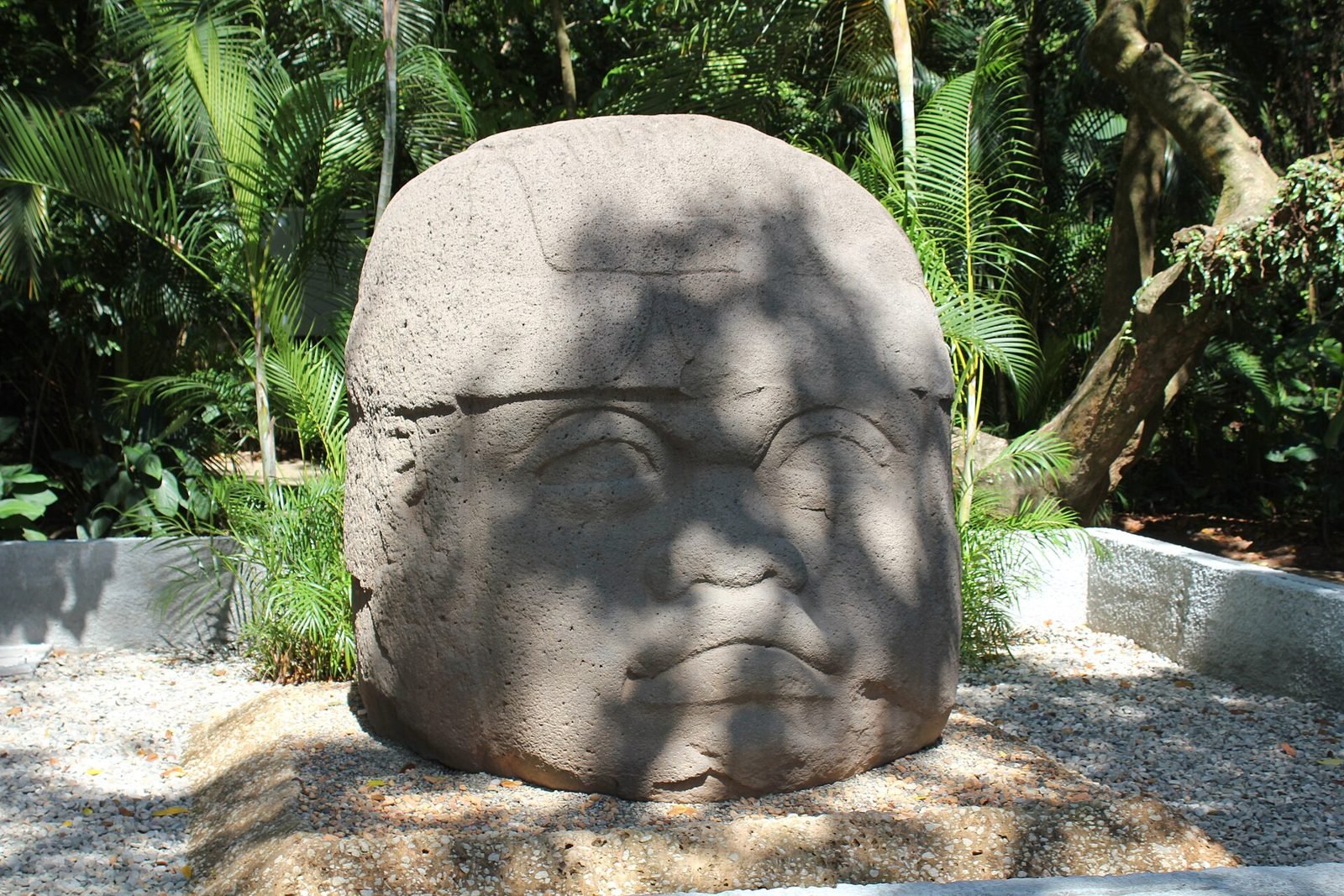 Olmec colossal head outdoors among tropical plants at Parque-Museo La Venta